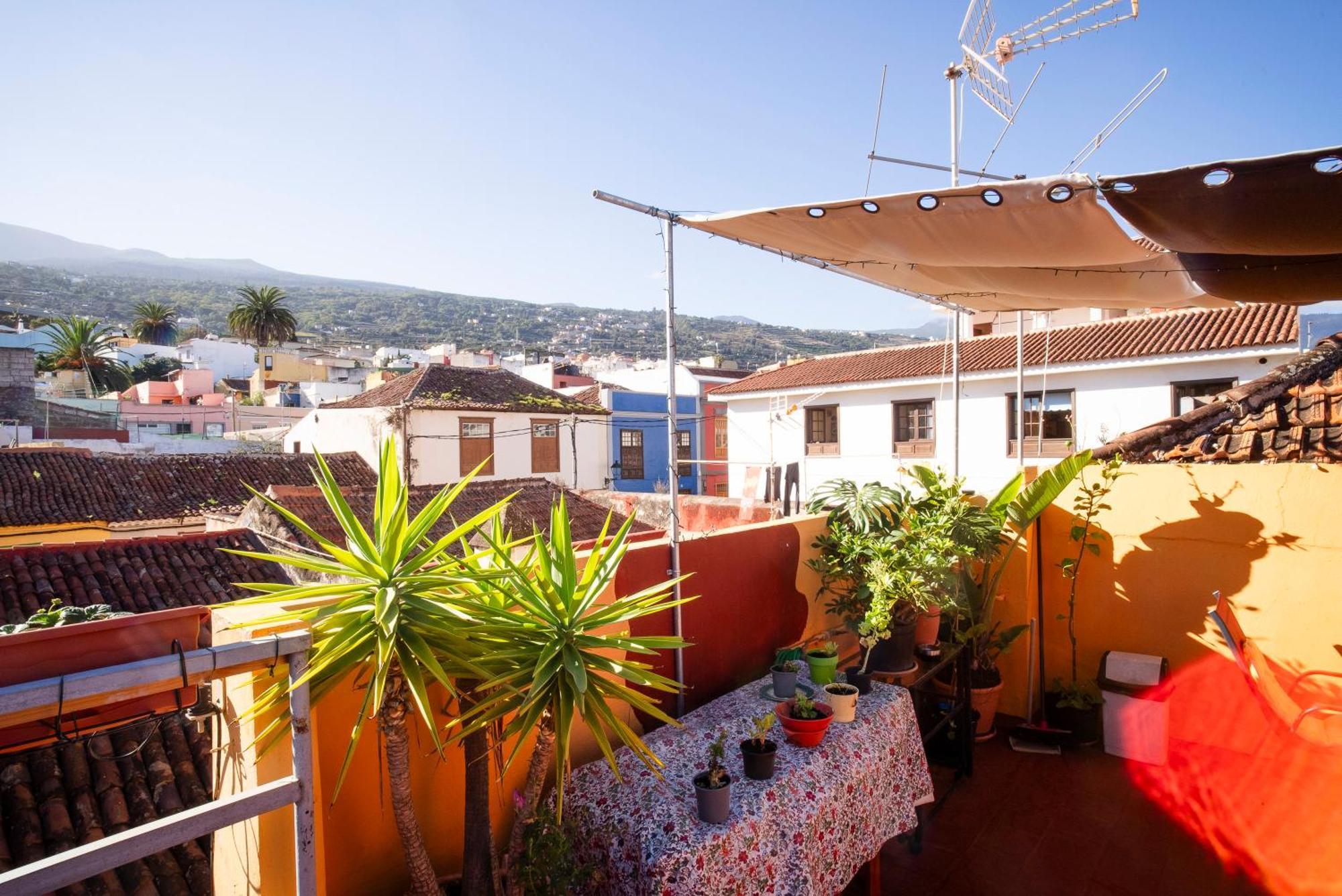 Hostel Tenerife 拉奥罗塔瓦 外观 照片