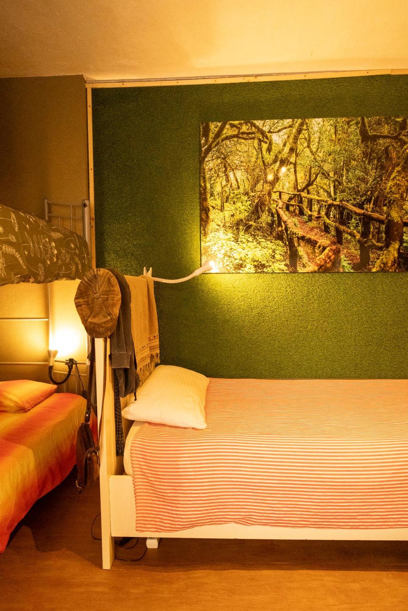 Hostel Tenerife 拉奥罗塔瓦 外观 照片