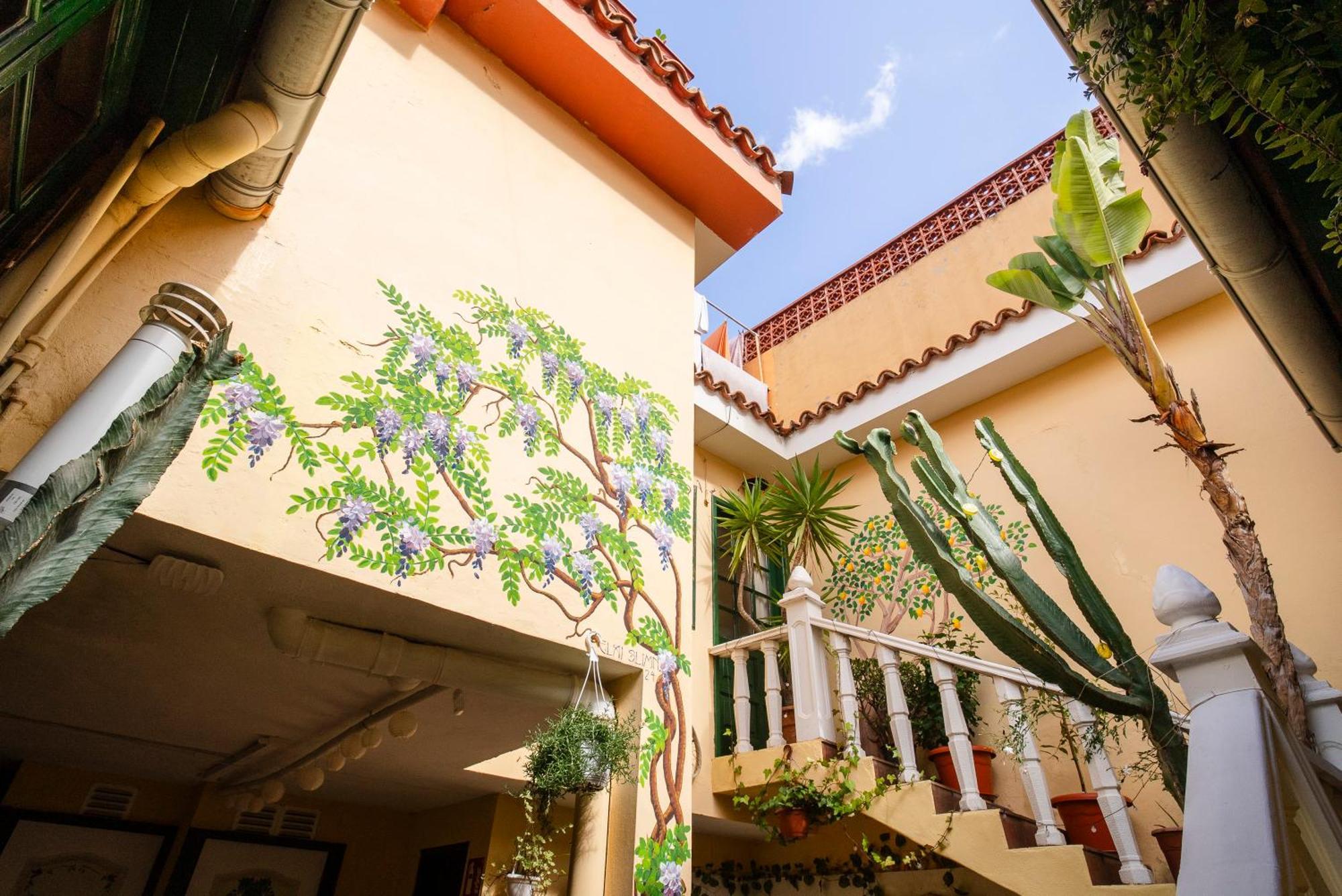 Hostel Tenerife 拉奥罗塔瓦 外观 照片