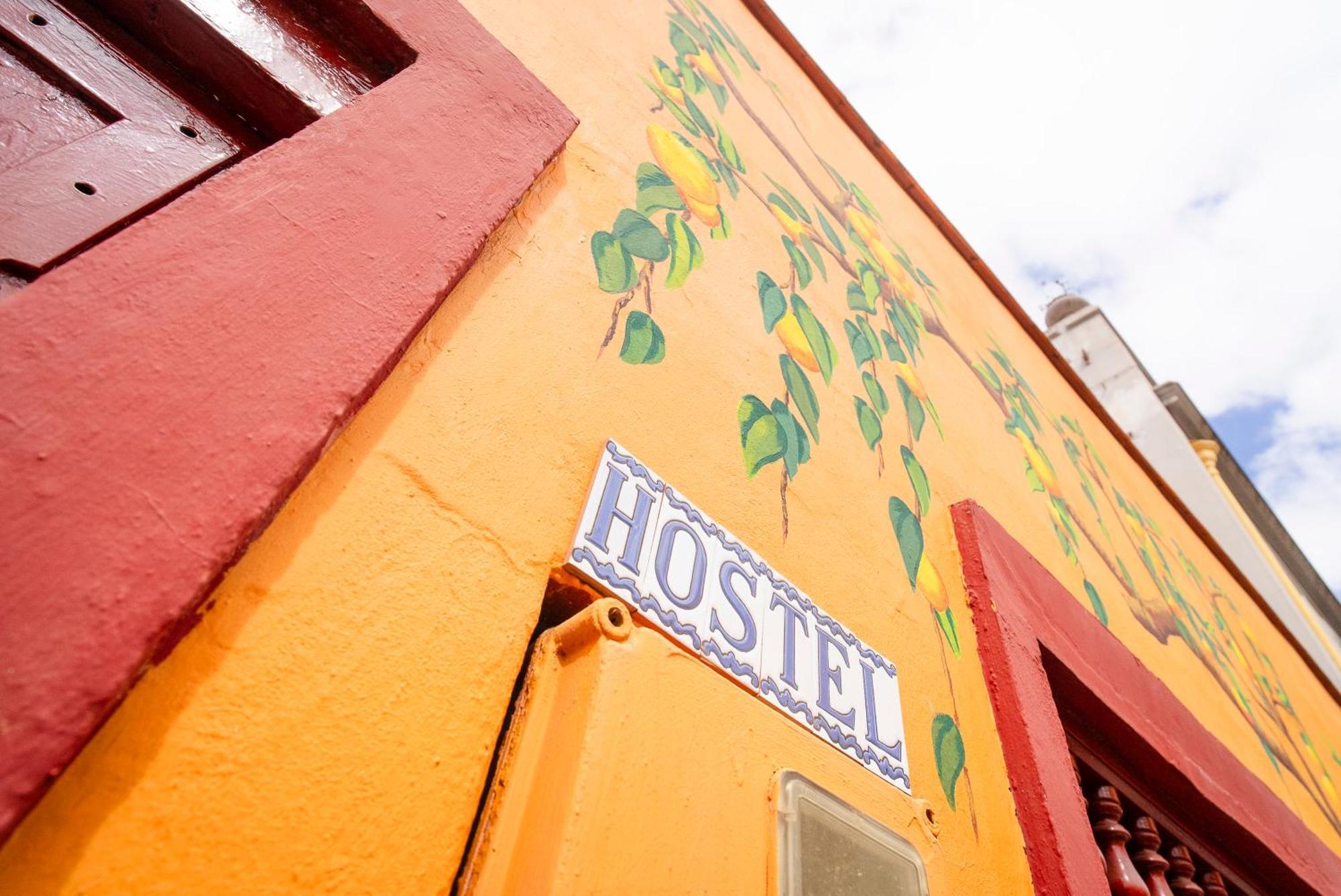 Hostel Tenerife 拉奥罗塔瓦 外观 照片