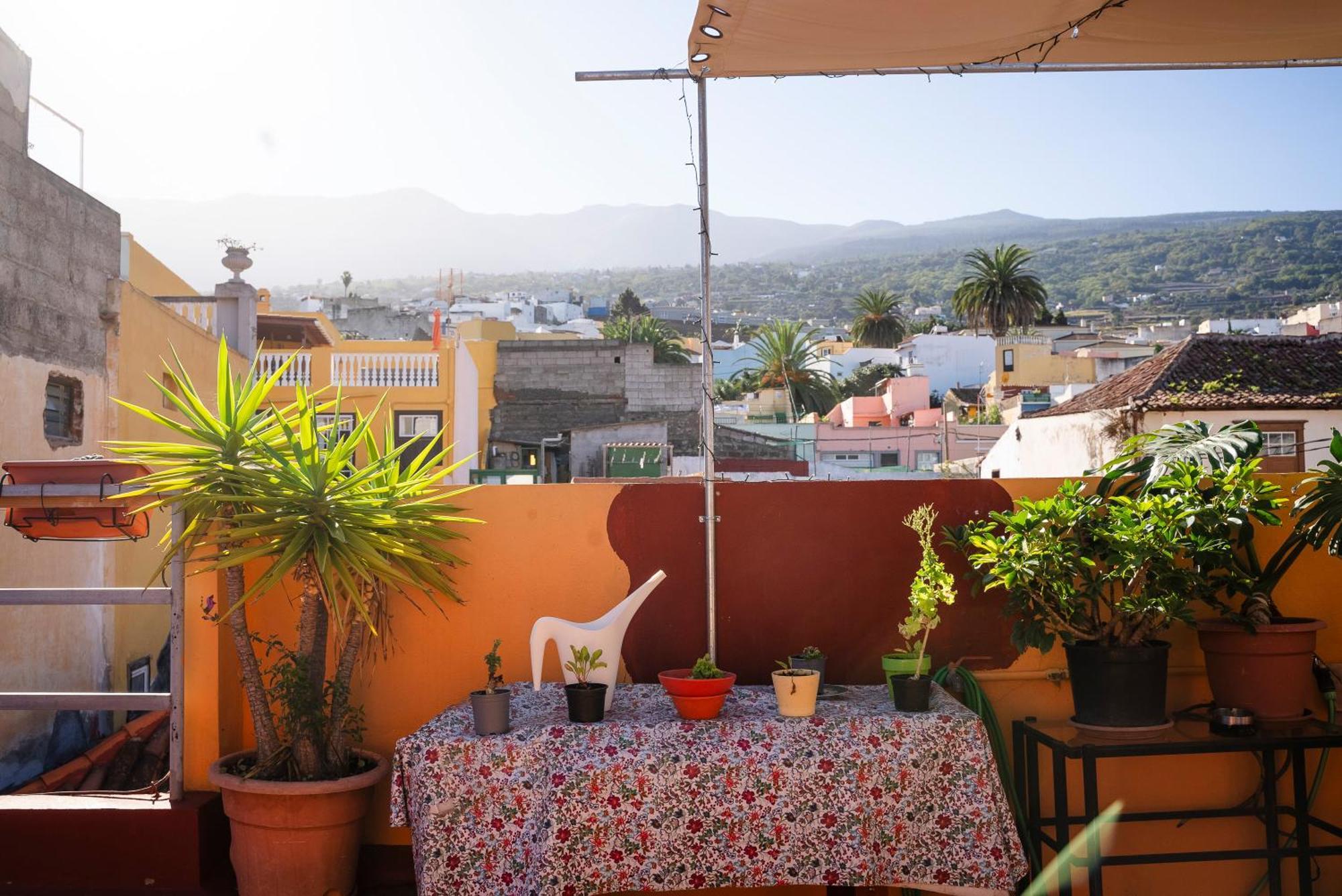 Hostel Tenerife 拉奥罗塔瓦 外观 照片