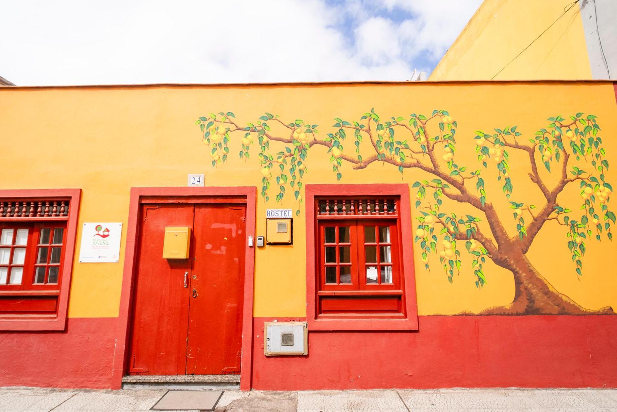 Hostel Tenerife 拉奥罗塔瓦 外观 照片