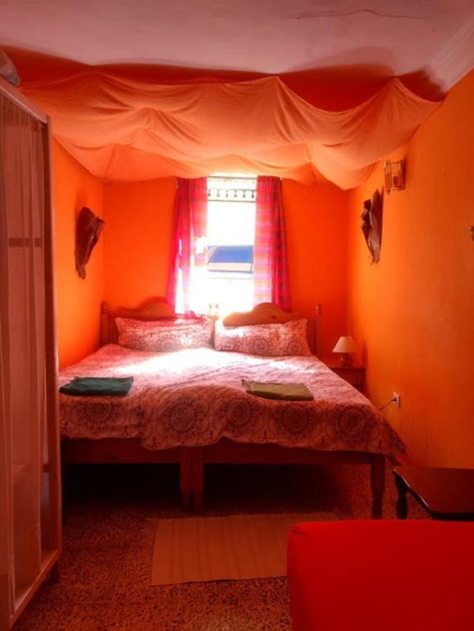 Hostel Tenerife 拉奥罗塔瓦 外观 照片
